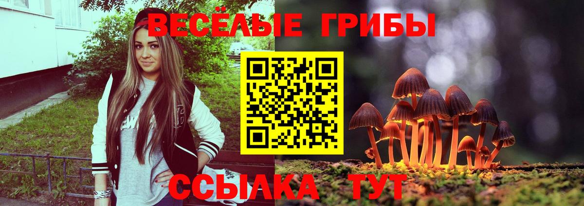 Истра  сколько стоит  Вход с VPN  Галлюциногенные грибы Psilocybine cubensis  Псилоцибиновые грибы мухоморы 